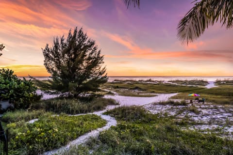 Sunset from Nest on the Beach
