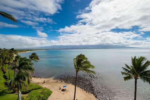 Enjoy whales breaching during winter months from your lanai
