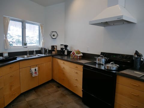 Kitchen in detail. Our freezer makes ice, so no need to buy any!