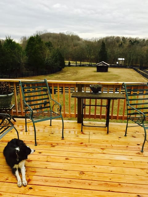 View of Paddock from deck, Avery dog
