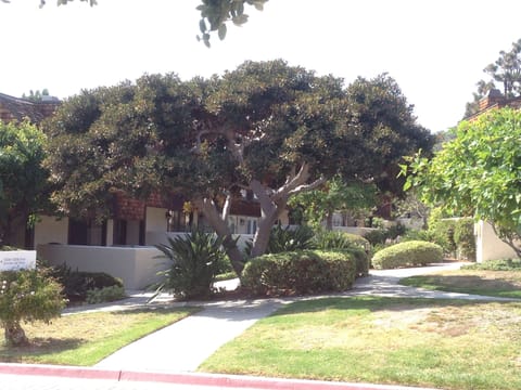 Common ground in front of condo