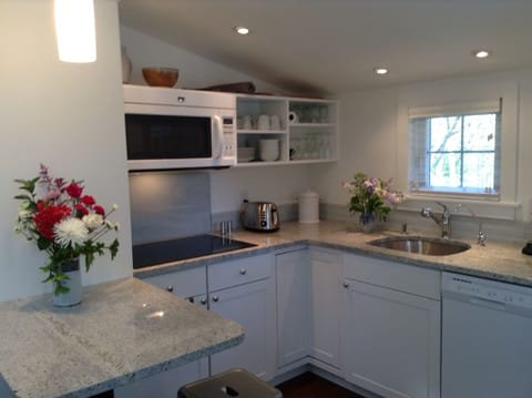 Kitchen with induction range, microwave/convection oven, dishwasher, etc.