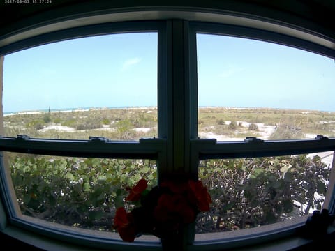 A view of the beach from most windows.