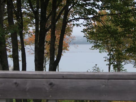 view from the deck in the summer 
