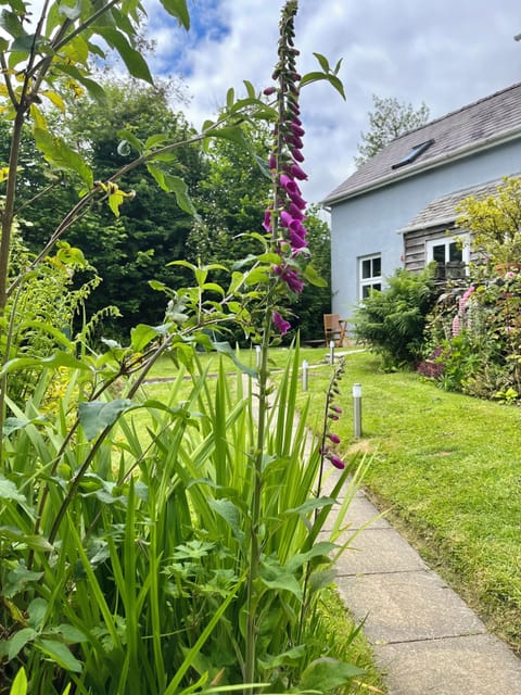 Tucked beside our home, the cottage has its own private garden and hot tub.