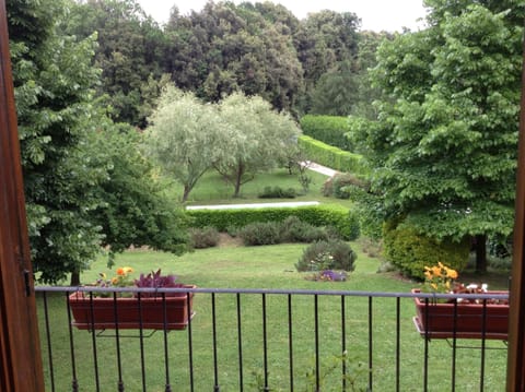 View from the kitchen