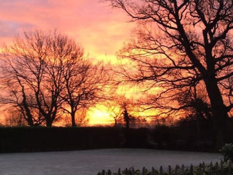 Beautiful sunset
