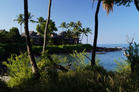 Kona Onenalo - our hidden treasure!