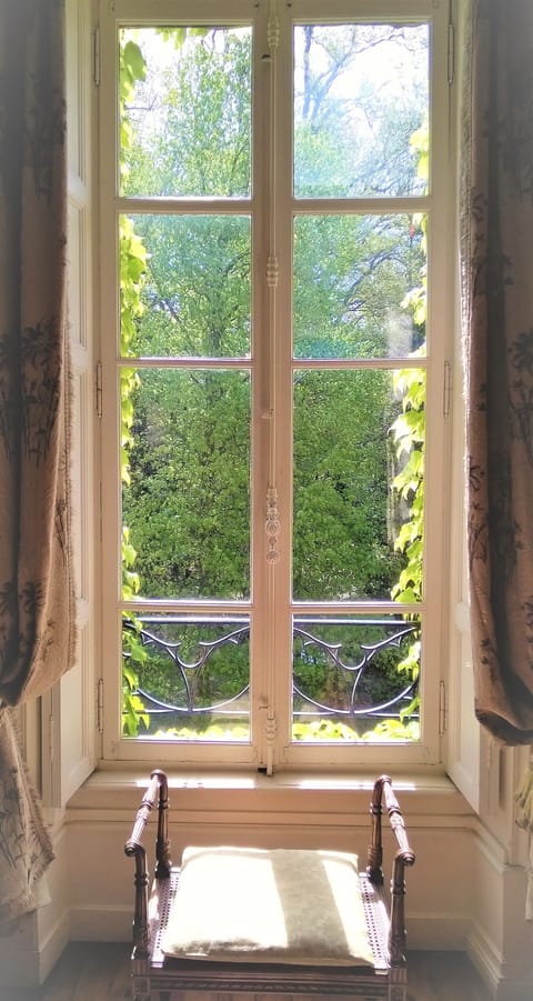 South side window, Linden suite. 