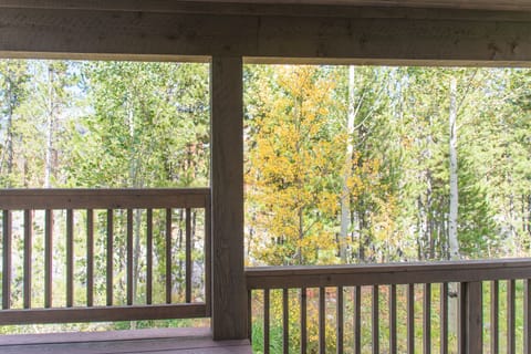 View from Covered Deck