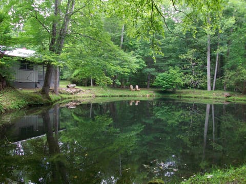 PICTURE PERFECT POND