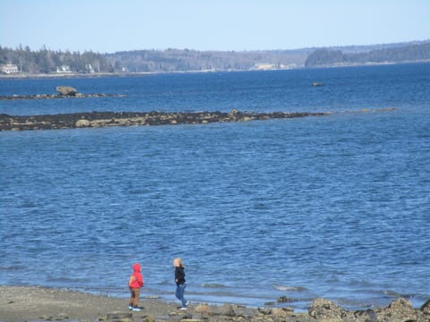 This is not a waterfront property, this is a picture of Lamoine Beach