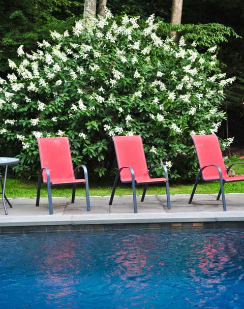 Heated pool - please see the navigation bar