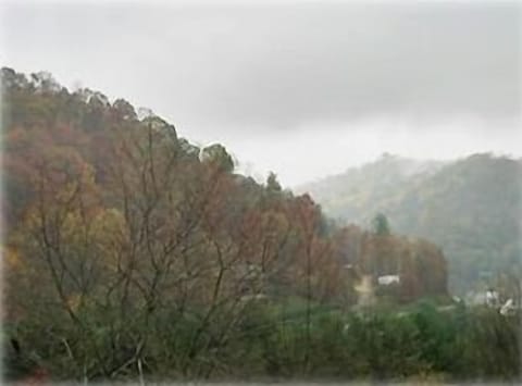 Morning View from deck