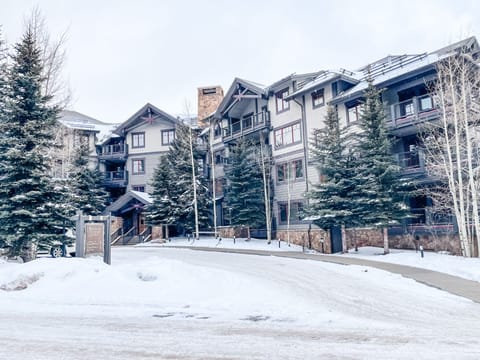 Approach to Mountain Thunder Lodge, winter 