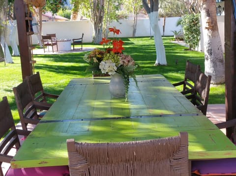 View of the beautiful side yard from the thatched covered Palapa 