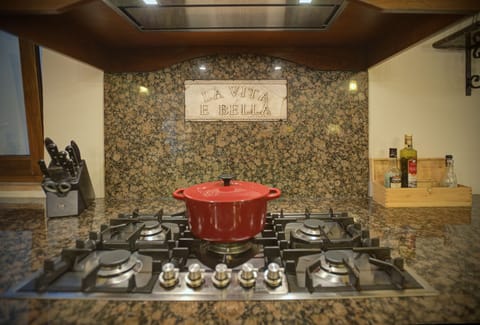 Professional 5 burner cooktop makes the chef's job easier.