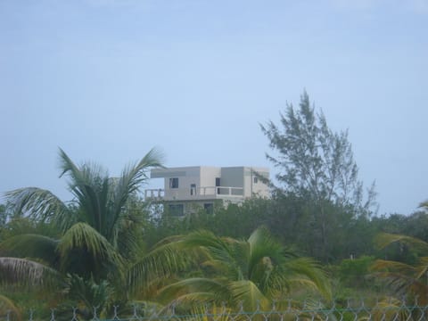 Casa Verde Celestun