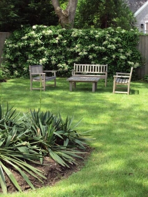 Large side yard surrounded with hedges.