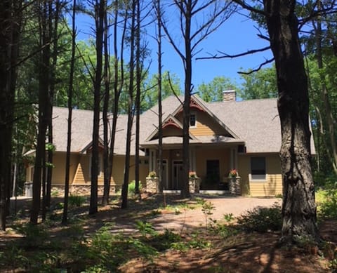 Front View through the Woods