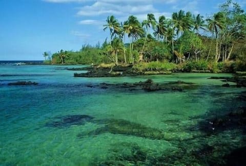 Carl Smith Beach Park -Hilo