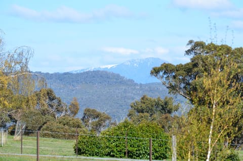 Mt Bulla view from front yard