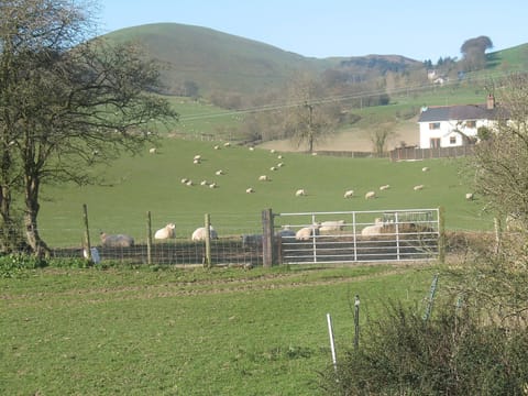 Surrounding Clwydian Hills