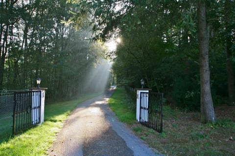Property grounds