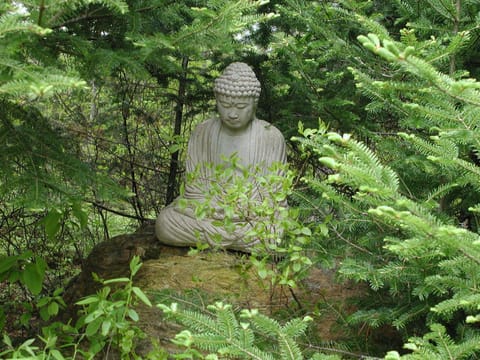 Buddha in the spruces.