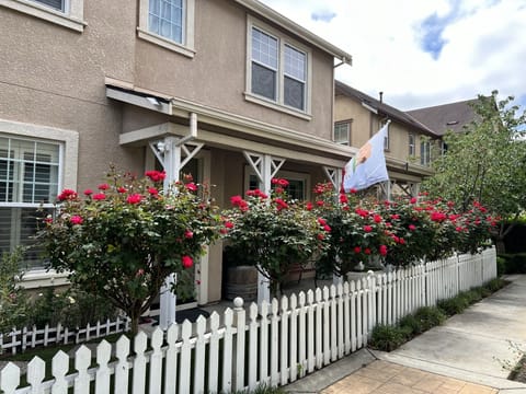roses in front yard