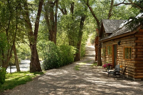 Just a short stroll up the driveway to downtown Basalt's dining and shopping