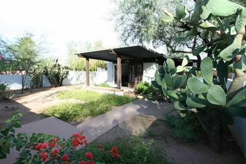 Enclosed yard with shaded Patio