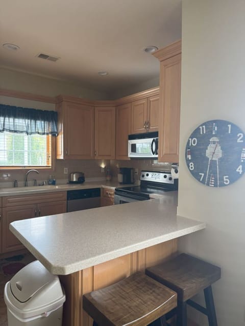 Large kitchen with dining counter