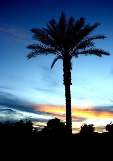 Some of the best sunsets every night in Arizona!