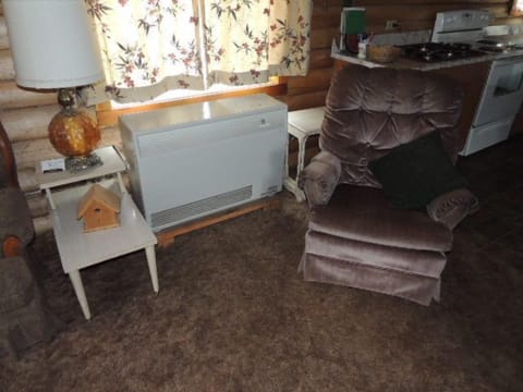 Propane furnace, main floor living area