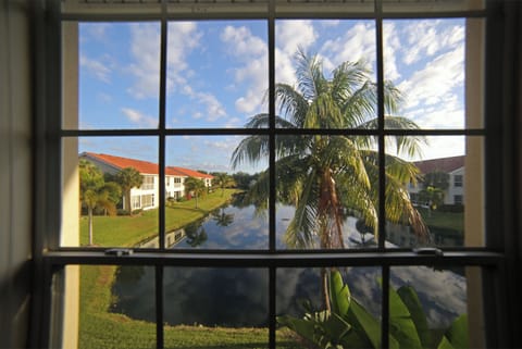 The view from the kitchen table right off the kitchen. 
