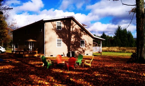 View from the back yard