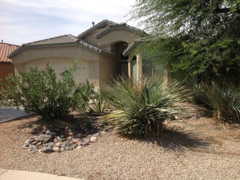 Front yard