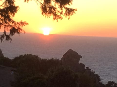 Simply...a sunset