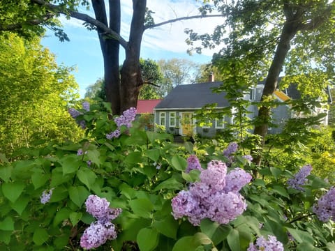 Welcome to The Perch!  An artistic cottage that is walking distance to to town!