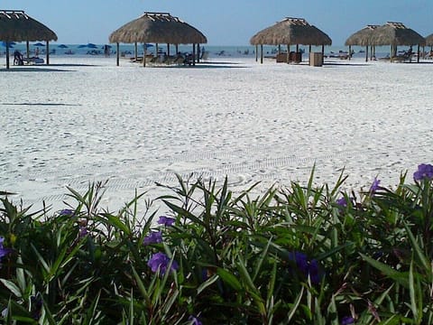 Come enjoy the soft sand and hot sun in Marco Island!!!