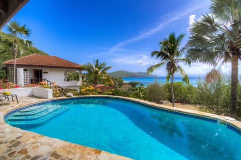 Your own private pool with a view of the Sir Frances Drake Channel