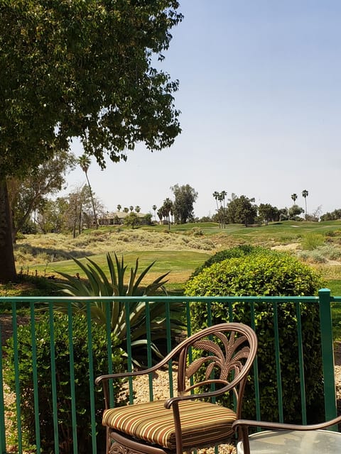 View from sofa in Living Room