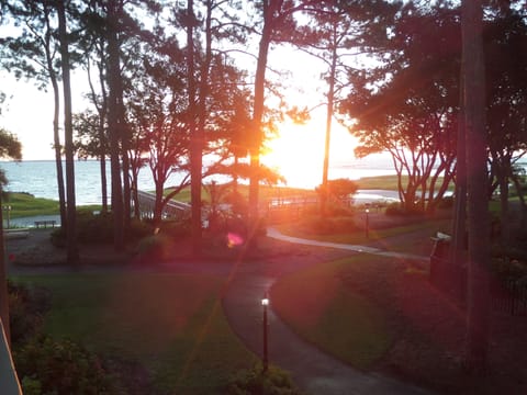 Sunrise in balcony (9/15/2015)