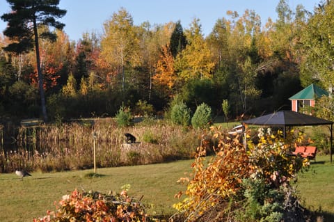 Indian summer at the pond 