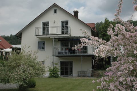 View to the house and the garden