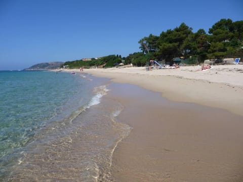 Beach view