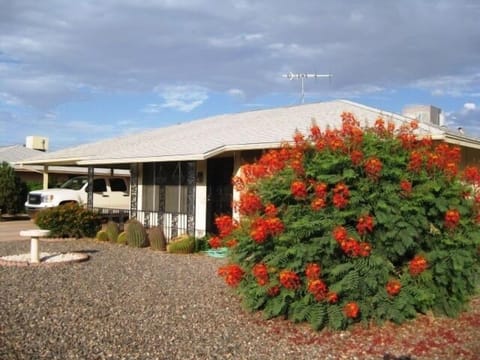 Bright orange bush adds beautiful accent to brick frontage of home.