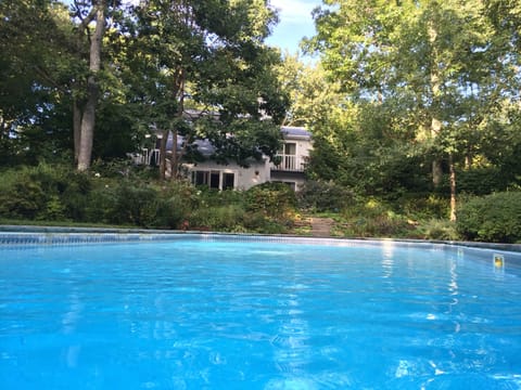 Summer time dip into the pool
