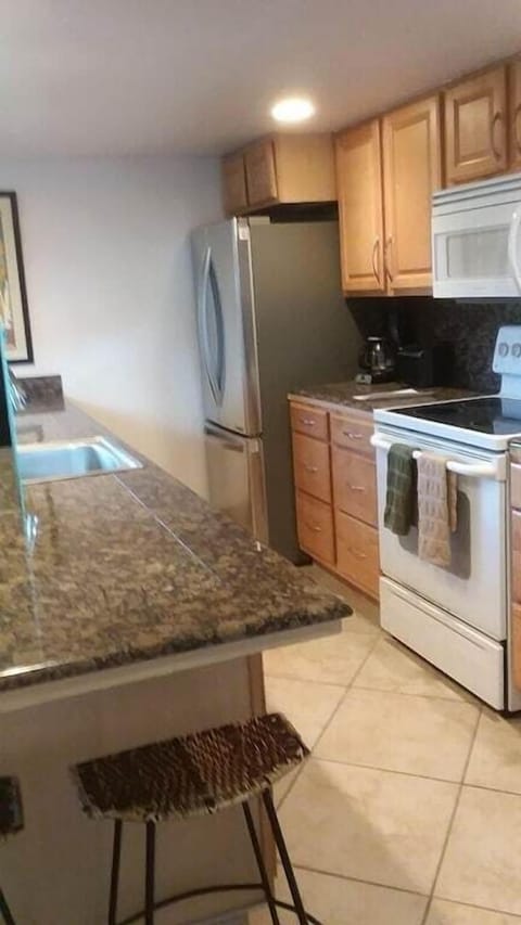 Granite countertops (microwave oven, coffee maker, blender and dishwasher too)